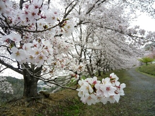 20.4.15.3.jpg