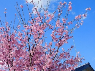 20.4.16.1.jpg
