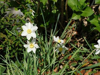 20.4.16.2.jpg