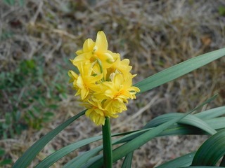 20.4.16.3.jpg