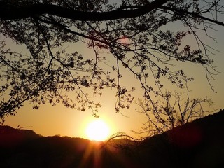 20.4.17.1.jpg