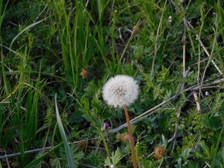20.4.17.3.jpg