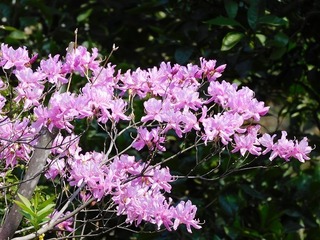 20.4.19.1.jpg
