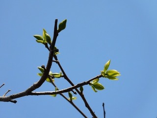 20.4.19.2.jpg