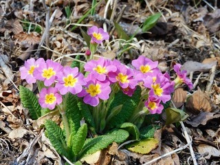 20.4.3.3.jpg