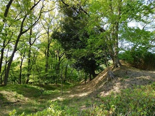 20.5.1.1.jpg