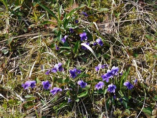 20.5.1.2.jpg