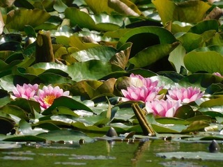 20.5.11.2.jpg