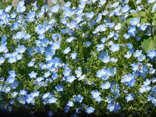 20.5.11.3.jpg