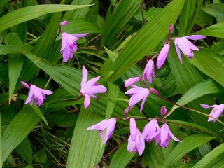 20.5.12.2.jpg