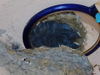 20.5.13.2.jpg