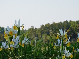 20.5.14.2.jpg