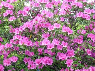 20.5.15.2.jpg