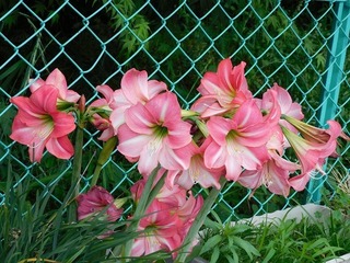 20.5.22.1.jpg