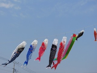 20.5.8.1.jpg