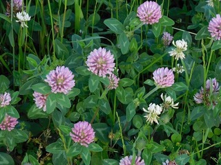 20.6.11.1.jpg