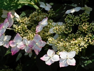 20.6.12.1.jpg