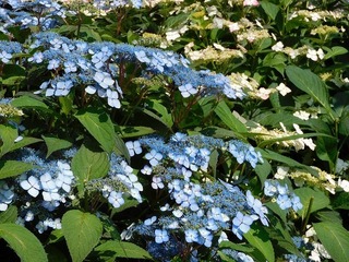 20.6.12.2.jpg