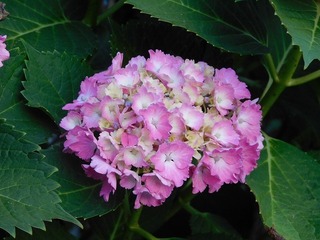20.6.13.1.jpg