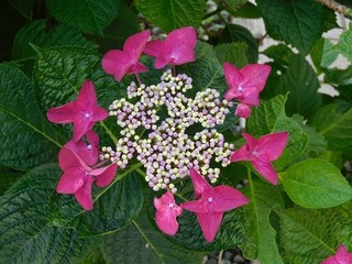 20.6.15.1.jpg