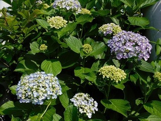 20.6.15.2.jpg
