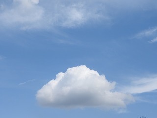 20.6.17.1.jpg