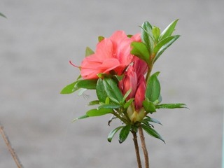 20.6.6.1.jpg