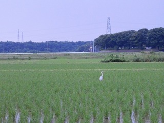 20.7.1.3.jpg