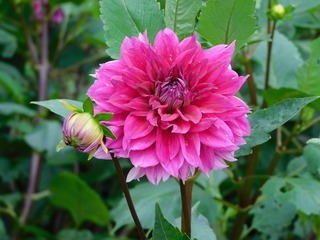 20.7.10.2.jpg