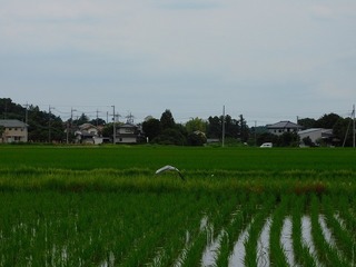 20.7.14.1.jpg