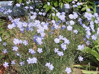 20.7.28.3.jpg