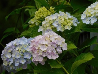 20.7.3.1.jpg