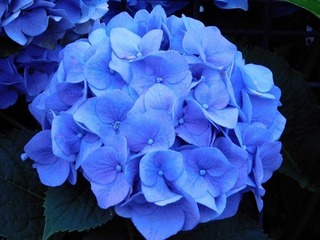 20.7.31.2.jpg