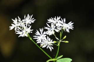 20.8.15.3.jpg