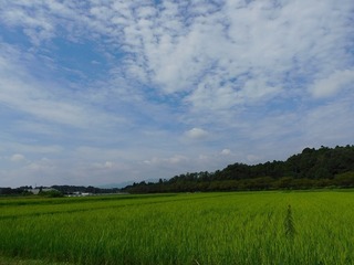 20.8.19.1.jpg