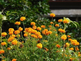 20.8.19.3.jpg