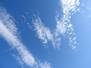 20.8.20.1.jpg
