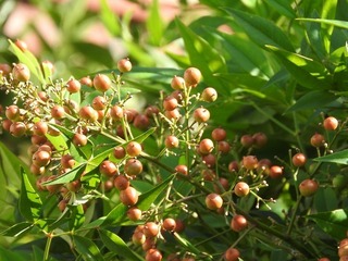 20.8.20.3.jpg