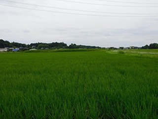 20.8.3.1.jpg