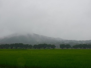 20.8.3.1.jpg