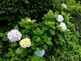 20.8.5.2.jpg