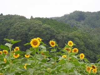 20.8.6.1.jpg