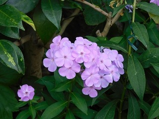 20.9.29.3.jpg