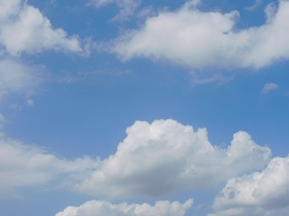 20.9.4.1.jpg