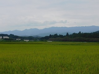 20.9.7.1.jpg