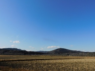 21.1.15.1.jpg