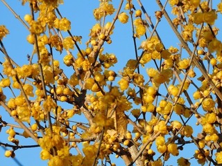 21.1.15.2.jpg