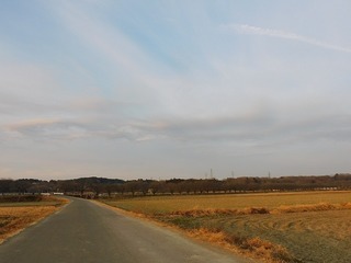 21.1.5.1.jpg