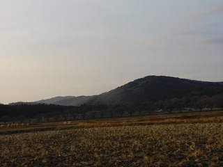 21.1.5.2.jpg