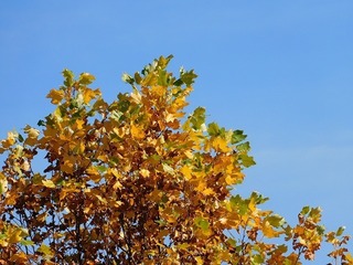 21.11.20.3.jpg